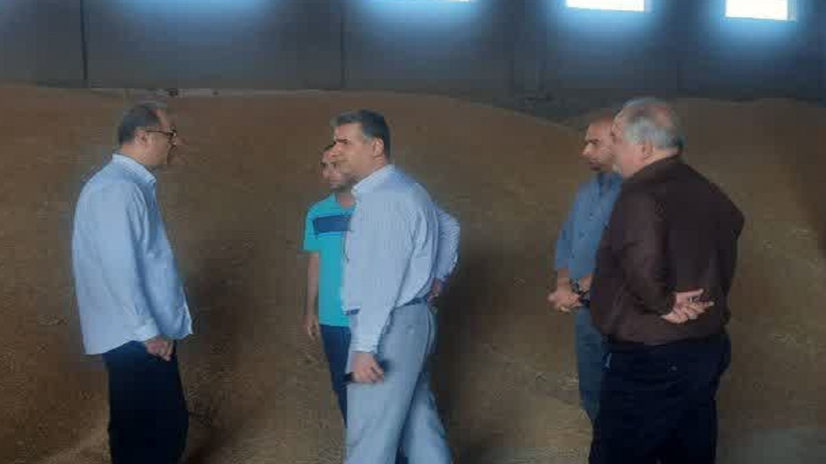 باشگاه خبرنگاران -تأکید بر خدمت‌رسانی مستمر به کشاورزان و تأمین امنیت غذایی جامعه