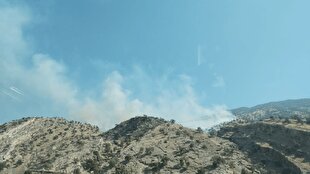 ارتفاعات منطقه حفاظت‌شده دیل در آتش می‌سوزد