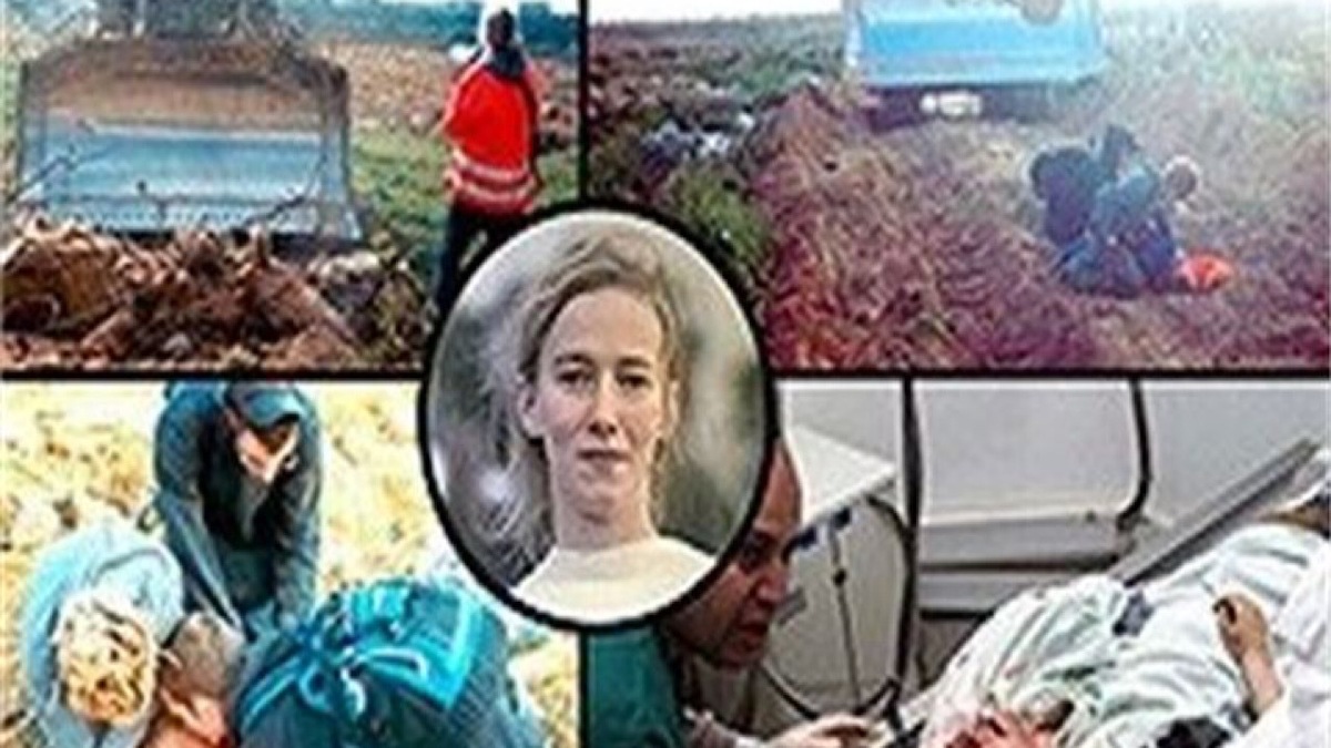 باشگاه خبرنگاران -راز زنی که با مرگی تراژیک، سکوت رسانه‌ها درباره فاجعه غزه را شکست