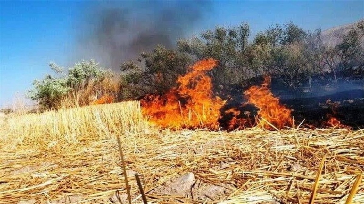 باشگاه خبرنگاران -تشکیل پرونده قضائی برای متخلفان زیست محیطی در پارس آباد