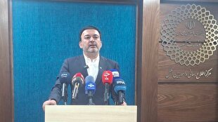 قيمت،دولت،نان،معاون،وزير،اقتصادي،كشور،آزادپز،آزادسازي،سهميه