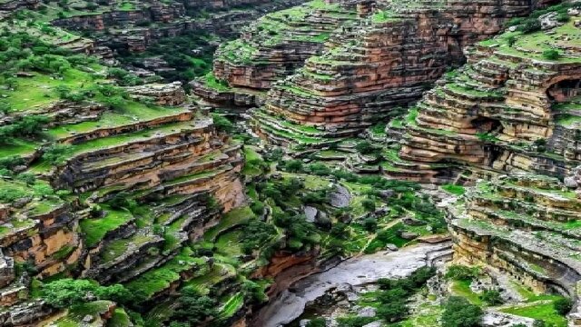 جدیدترین و مهمترین اخبار استان‌ها | خبرگزاری باشگاه خبرنگاران