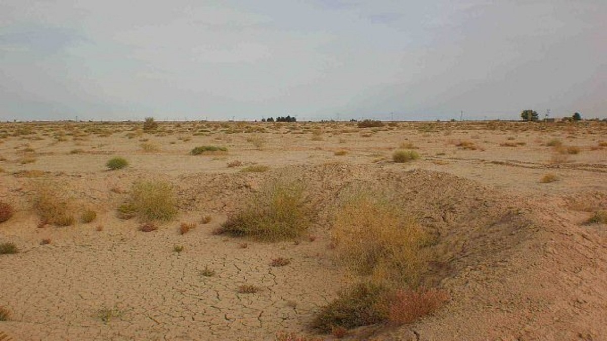 باشگاه خبرنگاران -مبارزه با فرسایش بادی و گرد و غبار با جدیت پیگیری می‌شود