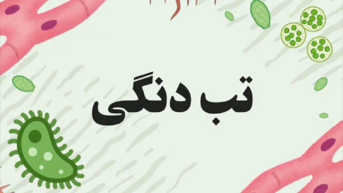باشگاه خبرنگاران -تب دنگی؛ نیش پشه‌ها را جدی بگیریم + فیلم