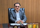 سكه،بازار،تومان،كاهش،طلا،حباب،قيمت،ارز،شربياني،جواهر،تقاضا
