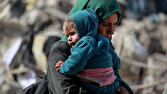 غزه،نفر،فلسطيني،زمان،شلتوت،گفته_شده_بود