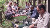 تلاش دیدنی نوغانداران گیلانی در فصل برداشت پیله ابریشم + فیلم و تصاویر