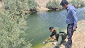 رهاسازی غیرمجاز فاضلاب در ورودی زابل زیر ذره‌بین محیط زیست