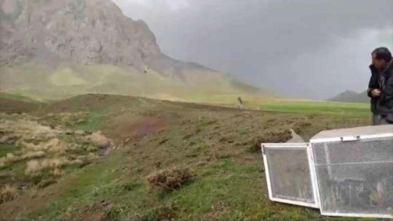 کشف ده قطعه کبک از خودروی سوداگر حیات وحش در دهگلان