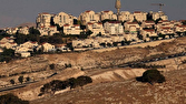 ممنوع،نروژ،غيرقانوني،تجارت،فلسطين