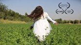 رقابت «دختر غزه» در ۳ جشنواره جهانی