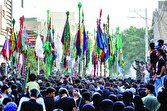 از علم پیغمبر میناب تا علم شمشیری قشم؛ جلوه‌های عاشورایی در جنوب ایران