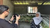 مستندسازی دانش بومی زنان نوغاندار مازندران