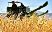 ۳ میلیون لیتر سوخت برای کمباین‌های شیراز/تشدید نظارت بر مراکز خرید گندم