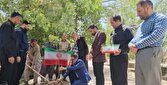 کاشت درخت ایثار در قدیمی‌ترین بلوار روستایی استان کرمان