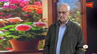 اسداللهي،شايعاتي