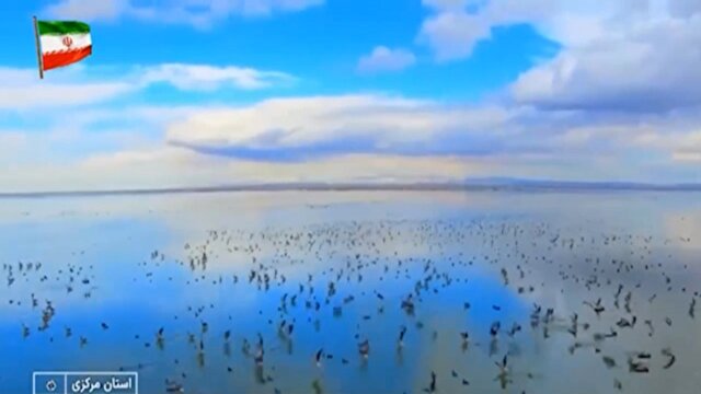 حال خوش تالاب‌های ایران + فیلم