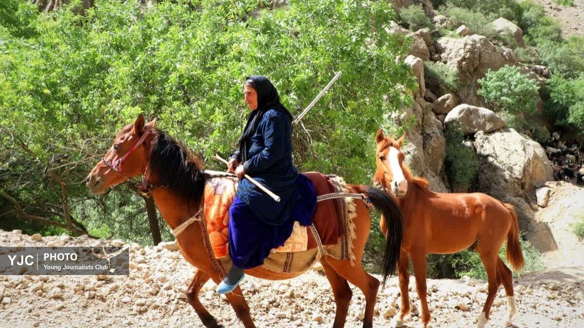 باشگاه خبرنگاران -شکوهِ سادگی؛ تپش زندگی در قلب روستا + تصاویر