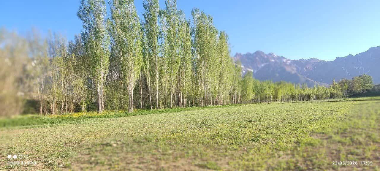 سفری به دل طبیعت افوس از لنز دوربین خبرنگار