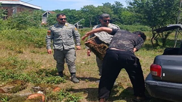 تشدید برخورد با تخلفات زیست‌محیطی در آستارا