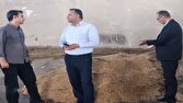 روند رو به رشد تولید در شرق مازندران؛ تحویل یک هزار و ۲۶۵ تن کلزا بهشهر