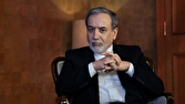 ايران،عمان،خارجه،امور،وزير،منطقه،اسلامي،عراقچي،مسئولانه