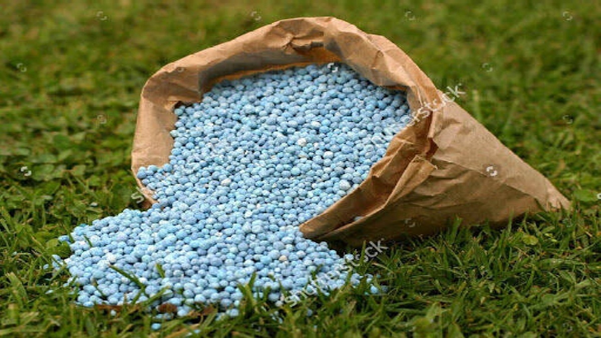 باشگاه خبرنگاران -توزیع نزدیک به۱۳هزار تن انواع کود شیمیایی در دوماهه نخست سال جاری