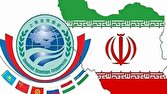 مالي،اقتصادي،عضو،سازمان،تأكيد،توسعه،منطقه،شانگهاي،مبادلات