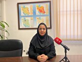 مگاوات،واگذار،غلامي،خبرنگاران