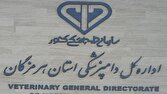 تکذیب شایعه ورود گوشتهای فاسد به بازار؛ مدیرکل دامپزشکی هرمزگان: محموله بهصورت کامل و تحت نظارت معدوم شد