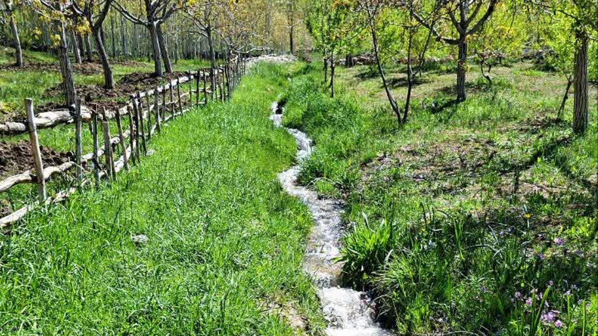 باشگاه خبرنگاران -هنرمندی که طبیعت را قاب می‌گیرد + تصاویر