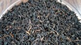 کشف ۳۰ تن چای احتکار شده در لاهیجان