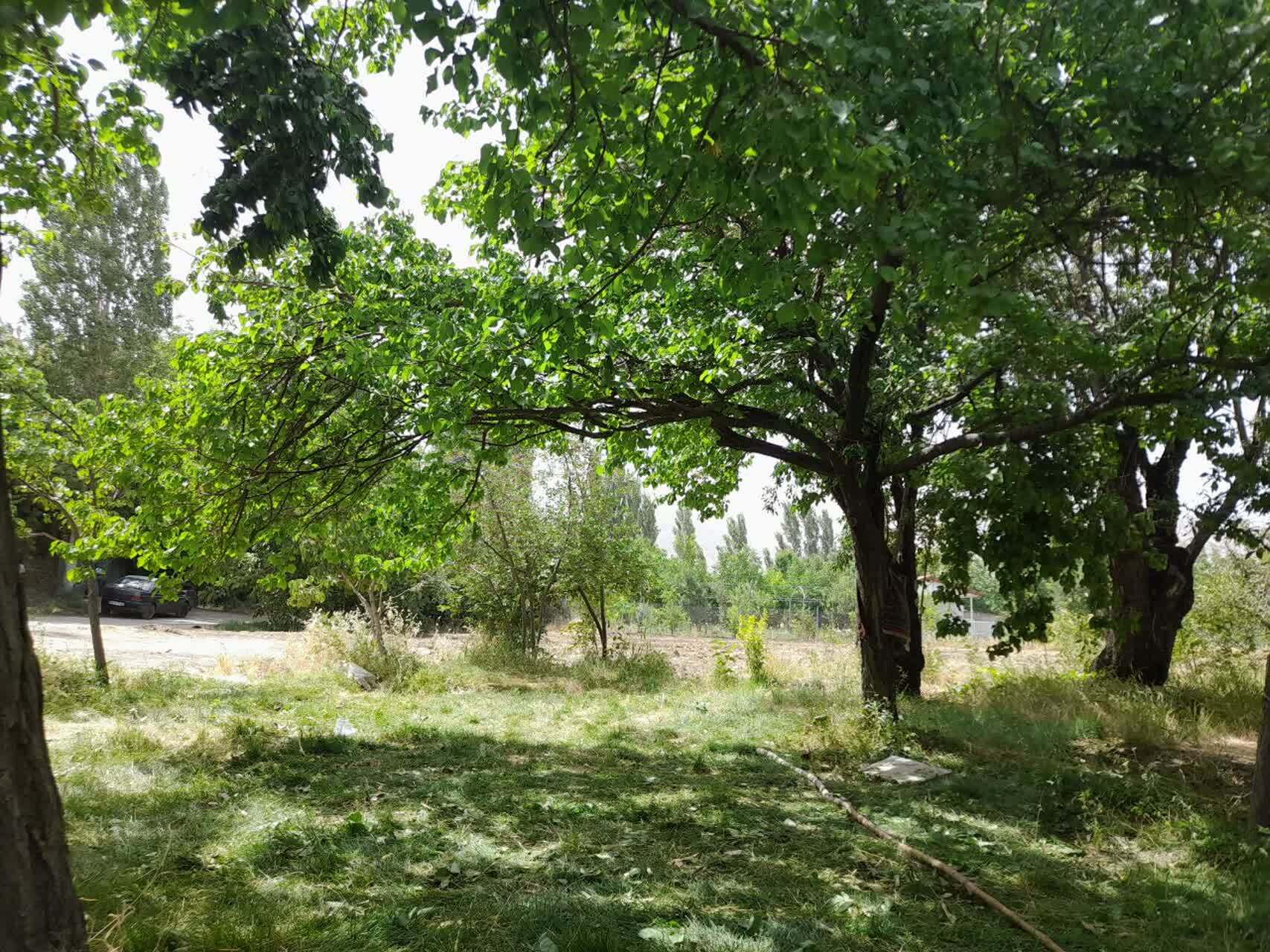 گشت و گذاری تابستانه به گلپایگان
