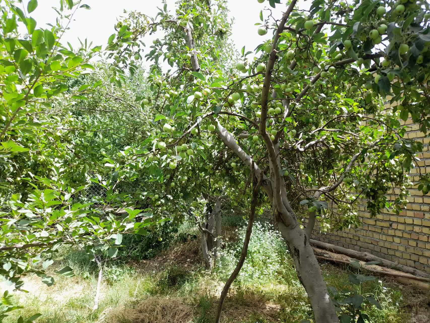 گشت و گذاری تابستانه به گلپایگان