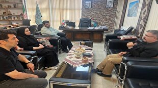 همکاریهای بیمه روستایی و صنایع دستی کردستان شتاب میگیرد