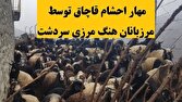 ناکامی قاچاقچیان در خروج ۱۱۰ رأس احشام از مرزهای سردشت