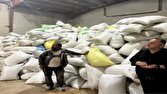 خرید بیش از ۱۰ هزار تن گندم در شهرستان نکا