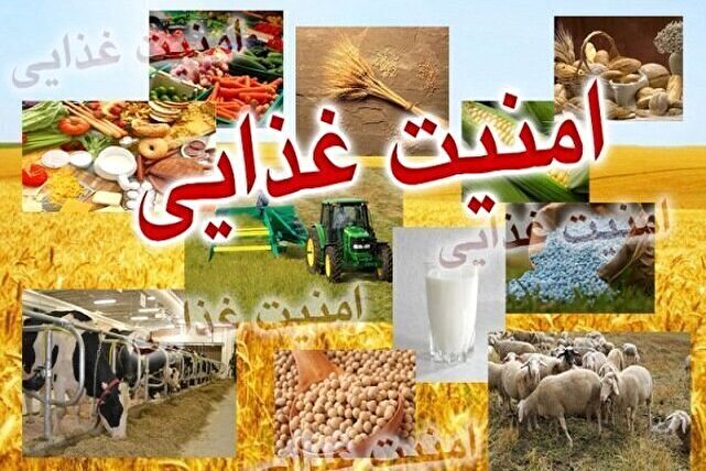 شرط خودکفایی محصولات اساسی و امنیت غذایی چیست؟