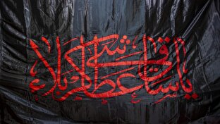 وقتی پرچم گنبد حضرت عباس(ع) بر پیکر نوکر علمدار کربلا نشست + فیلم