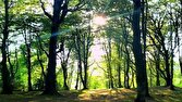 افزایش دمای هوای گیلان