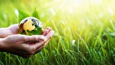 استمرار پایش‌ها و نظارت‌های محیط‌ زیستی در مازندران
