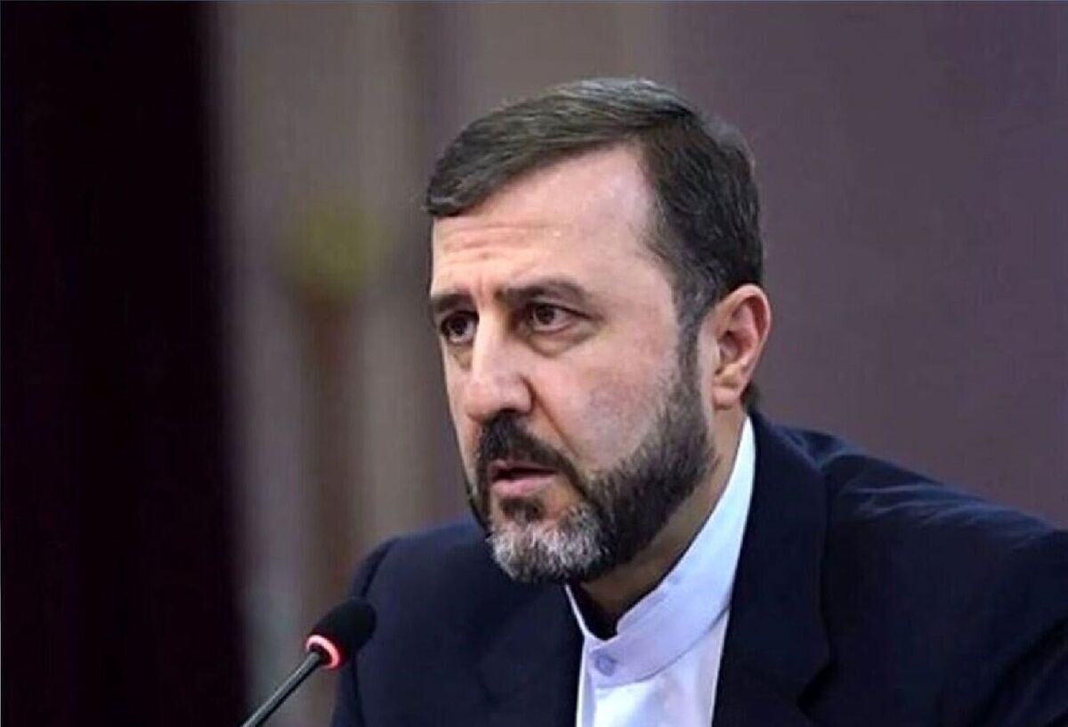 باشگاه خبرنگاران -غریب آبادی: هیچ اقدامی علیه ایران نباید بدون پاسخ بماند