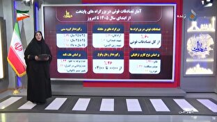 ۴۱ درصد تلفات رانندگی تهران مربوط به عابران پیاده است