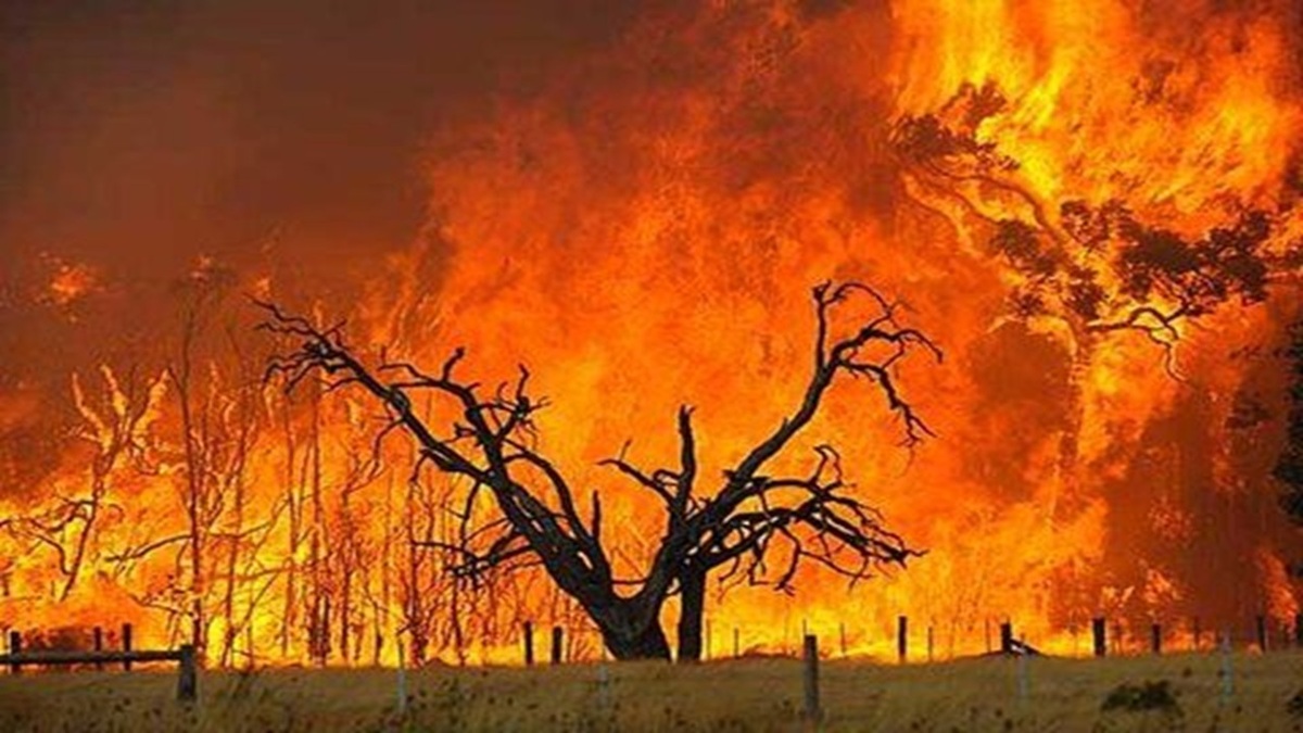 آتش‌سوزی‌های گسترده، آسمان شرق کانادا را نارنجی‌رنگ کرد + فیلم