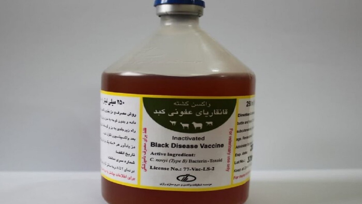 باشگاه خبرنگاران -احیای خط تولید یک واکسن مهم دامپزشکی در کرمان پس از ۱۰ سال