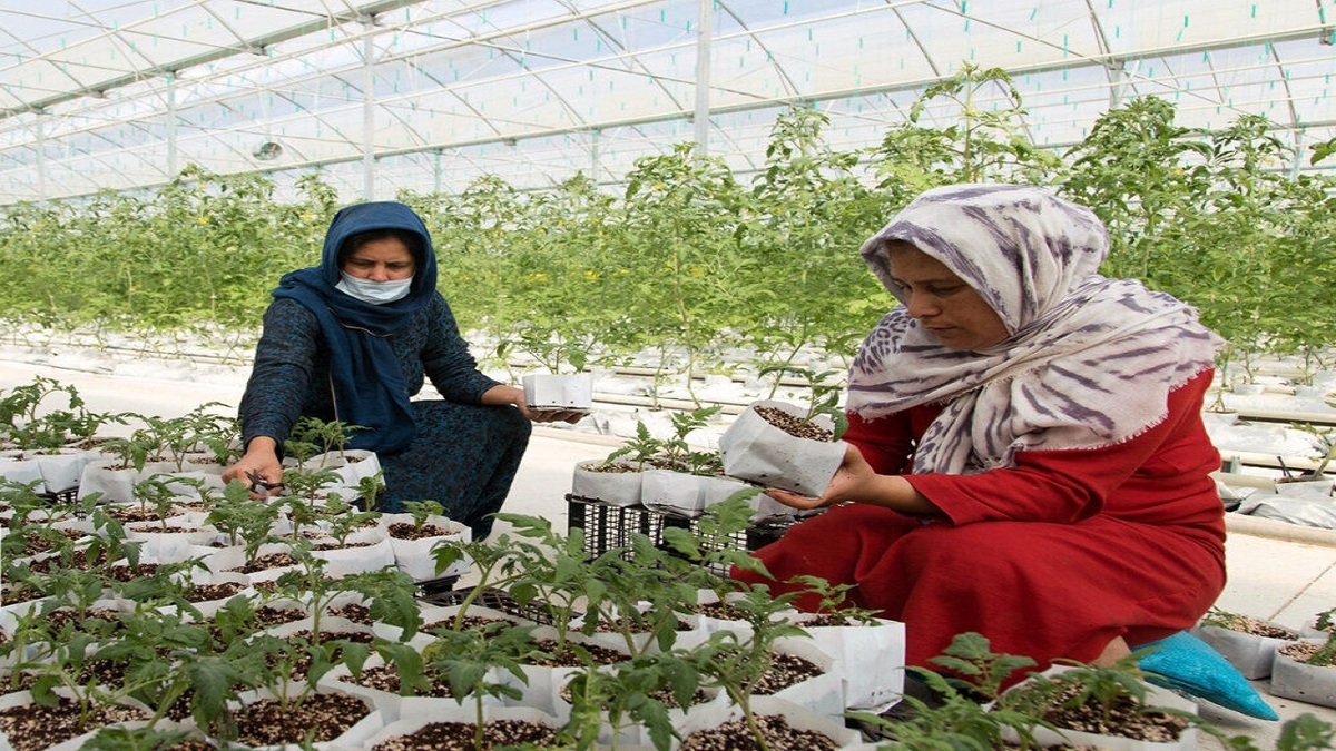 باشگاه خبرنگاران -۱۶ هزار میلیارد ریال تسهیلات اشتغال‌زایی در قزوین