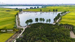 آیین سنتی قرق‌شکنی آب‌بندان روستای رمنت در بابل