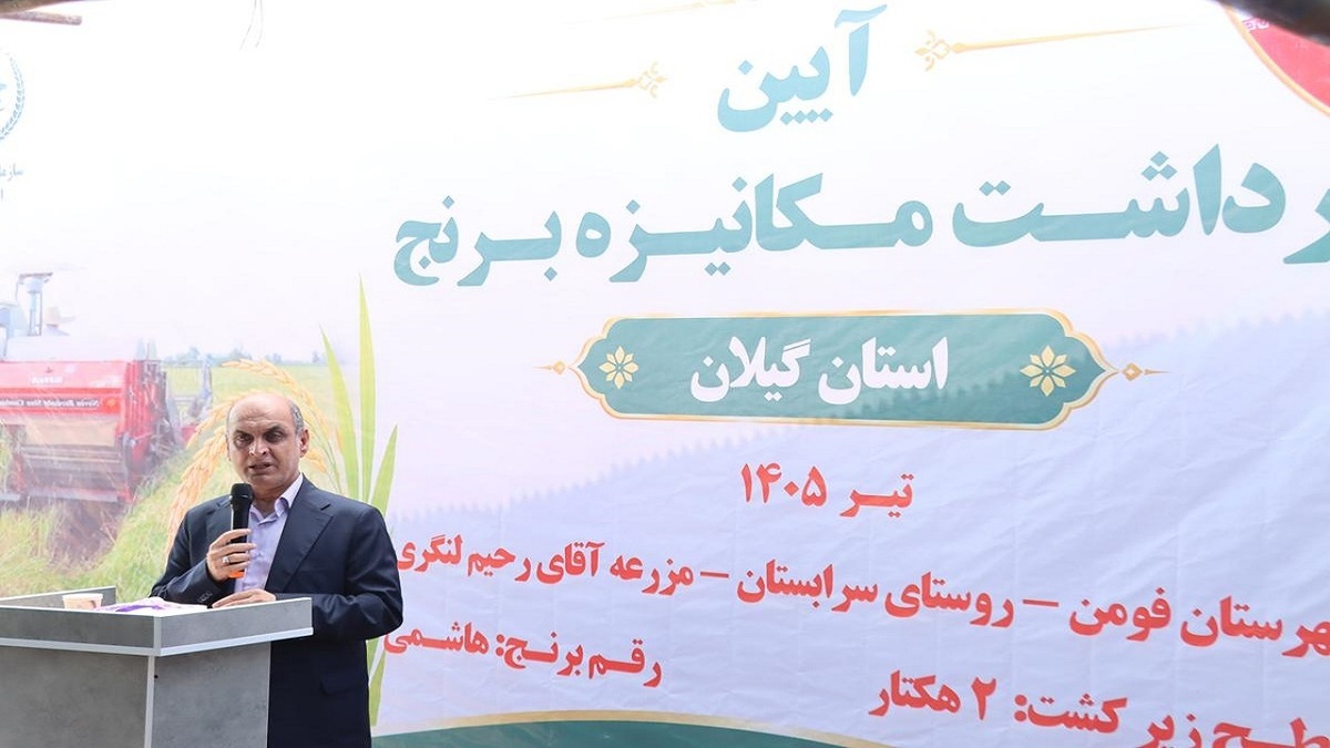 باشگاه خبرنگاران -افزایش بهره‌وری؛ راه اقتصادی شدن تولید برنج