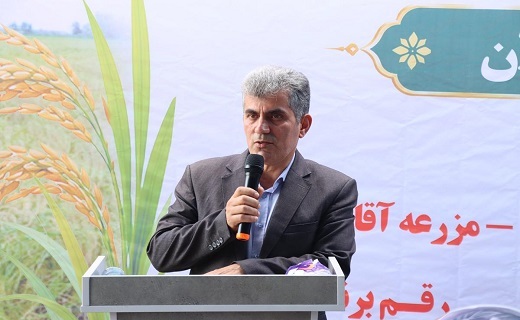 &nbsp;صالح محمدی، رئیس سازمان جهاد کشاورزی گیلان