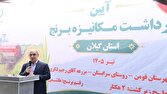 افزایش بهره‌وری؛ راه اقتصادی شدن تولید برنج